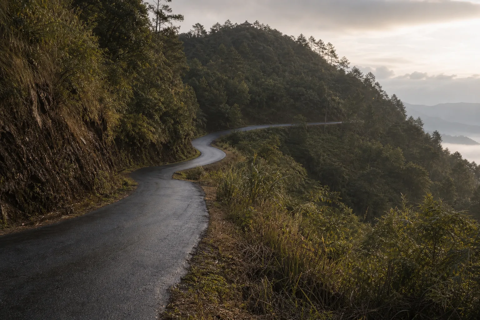 Narrow sealed mountain road curving up through forest toward a ridge