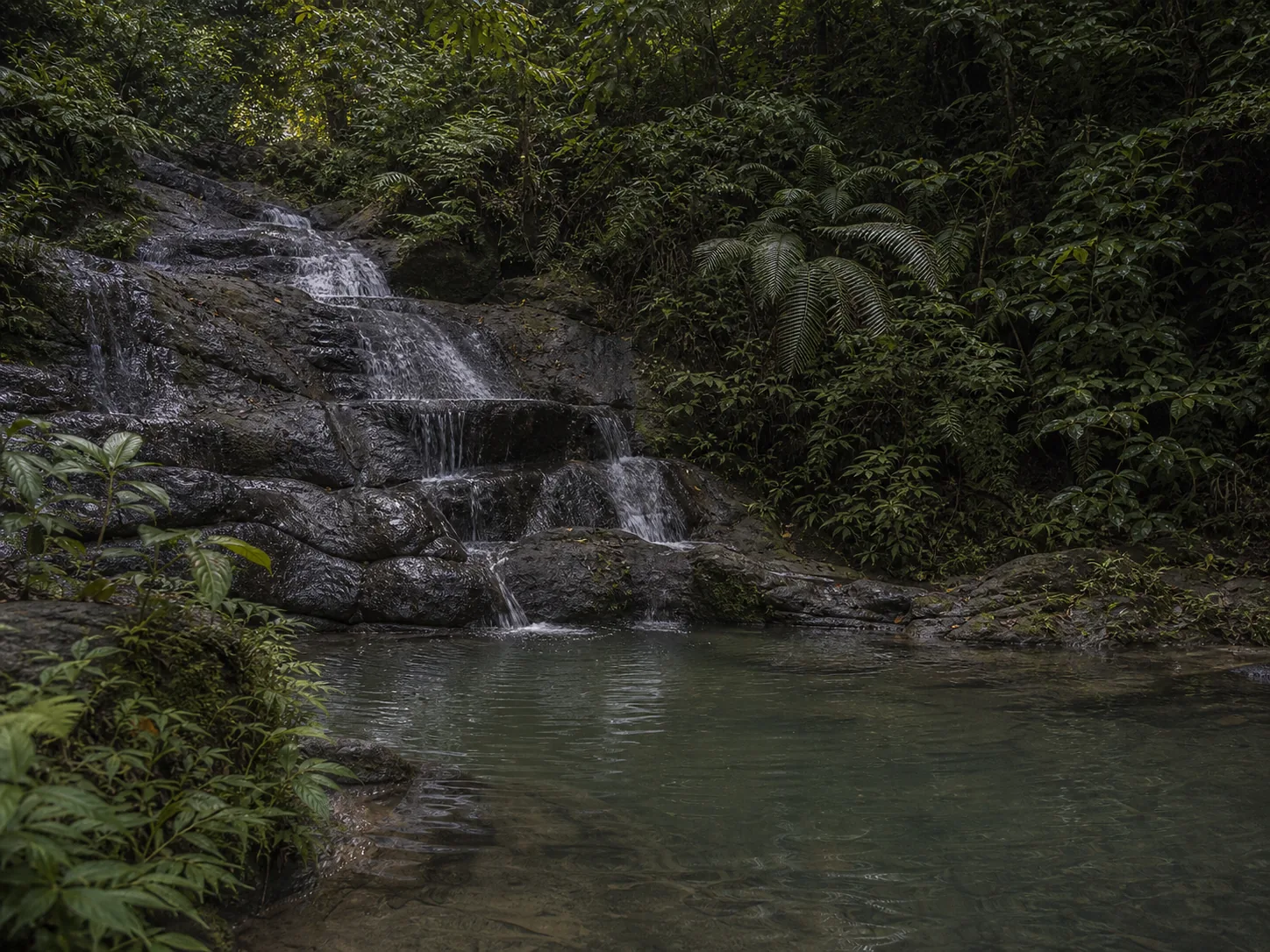 A layered limestone waterfall falling into a clear green pool in dense forest